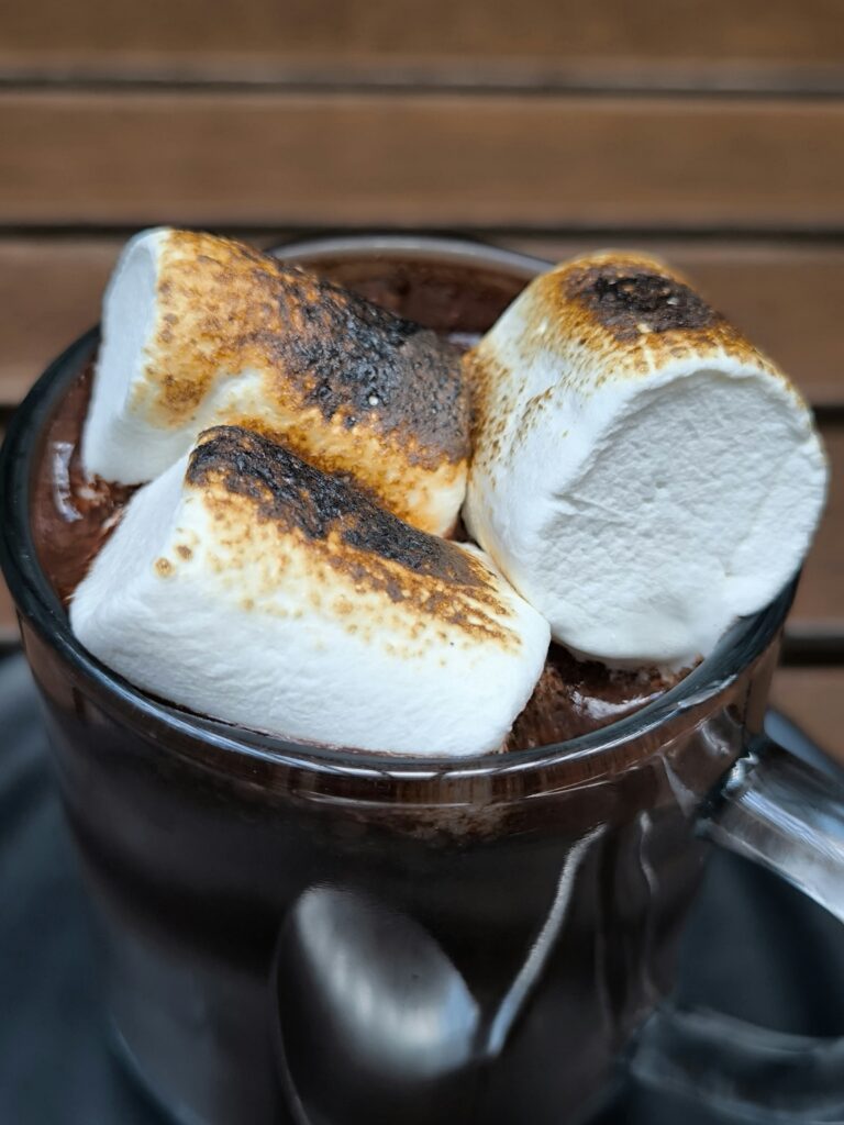 Hot Chocolate with Marshmallows